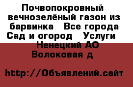 Почвопокровный, вечнозелёный газон из барвинка - Все города Сад и огород » Услуги   . Ненецкий АО,Волоковая д.